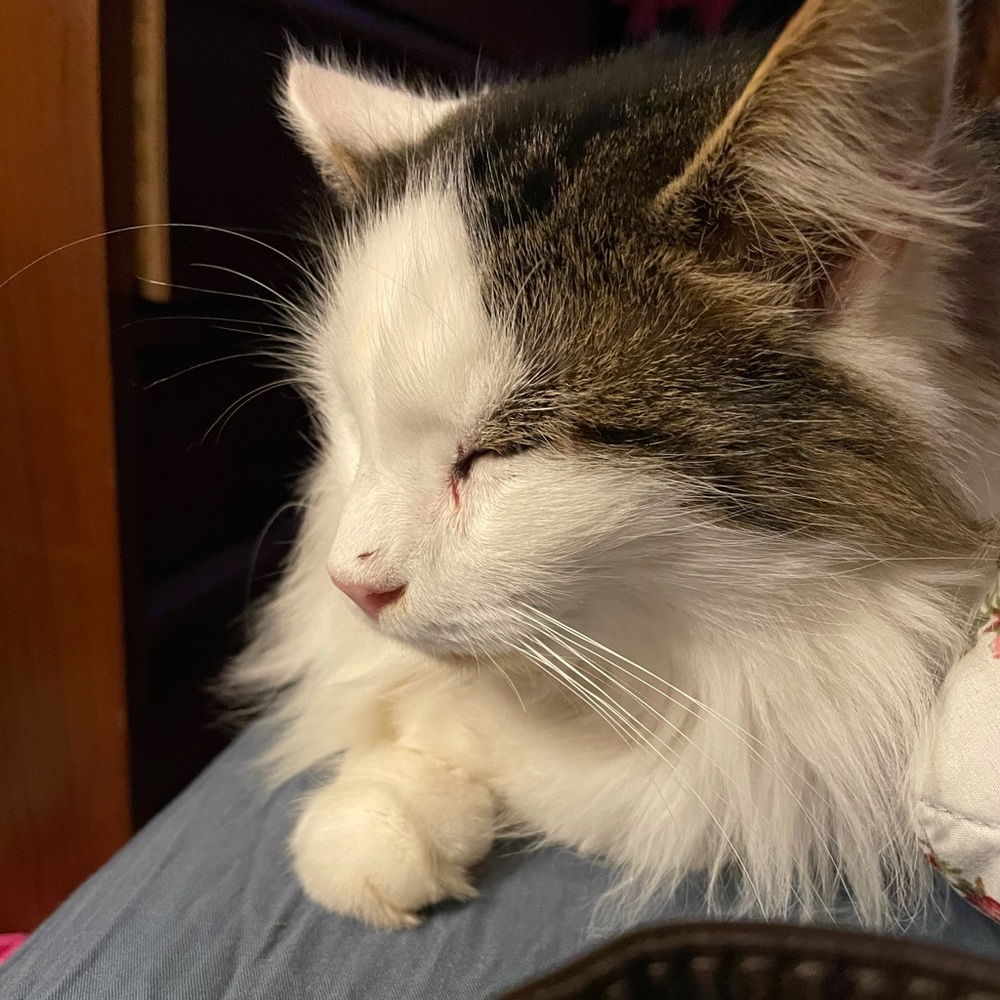 Meet your Posher, Briana